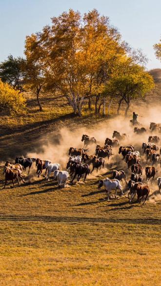 包含精英球员巅峰之战,壮观场面令人震撼的词条 包含精英球员巅峰之战,壮观场面令人震撼的词条